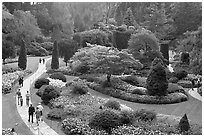 Sunken Garden. Butchart Gardens, Victoria, British Columbia, Canada ( black and white)