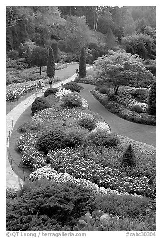 Sunken Garden. Butchart Gardens, Victoria, British Columbia, Canada (black and white)