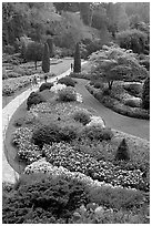 Sunken Garden. Butchart Gardens, Victoria, British Columbia, Canada (black and white)