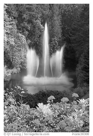 Ross Fountain and flowers. Butchart Gardens, Victoria, British Columbia, Canada (black and white)