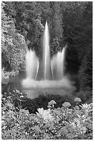 Ross Fountain and flowers. Butchart Gardens, Victoria, British Columbia, Canada (black and white)