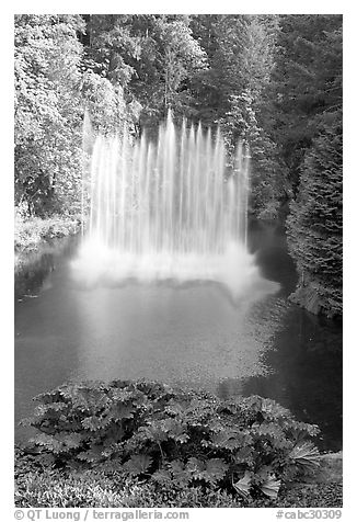 Ross Fountain. Butchart Gardens, Victoria, British Columbia, Canada