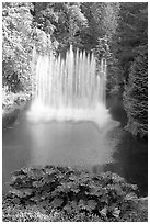 Ross Fountain. Butchart Gardens, Victoria, British Columbia, Canada (black and white)