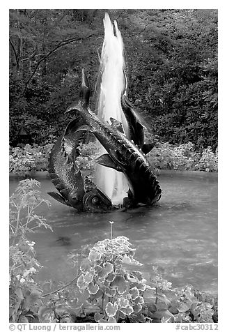 Three Sturgeons Fountain, with sculptures cast by Sirio Tofanari. Butchart Gardens, Victoria, British Columbia, Canada (black and white)