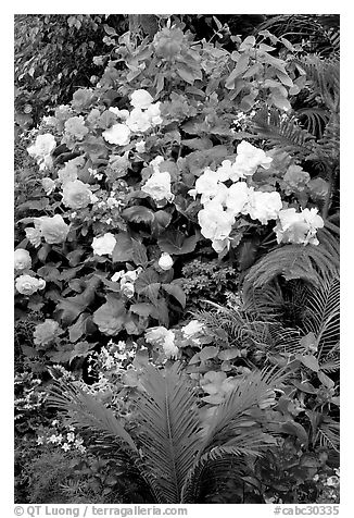 Flower arrangement in the Show Greenhouse. Butchart Gardens, Victoria, British Columbia, Canada