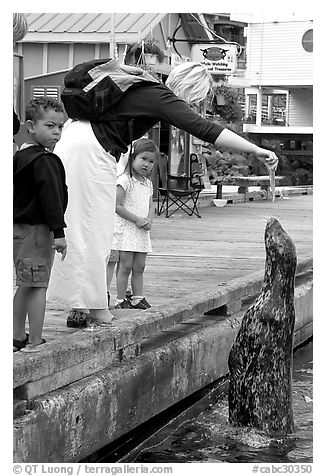 Woman feeding harbor seal, Fisherman's wharf. Victoria, British Columbia, Canada (black and white)