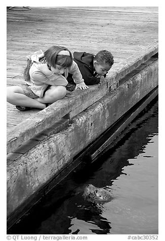 Kidds looking at a harbor seal, Fisherman's wharf. Victoria, British Columbia, Canada