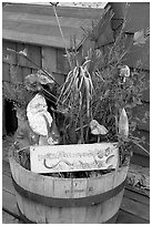 Whimsical basket with motto on houseboat. Victoria, British Columbia, Canada ( black and white)