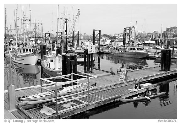 Kayaker ready to launch,  Upper Harbor. Victoria, British Columbia, Canada (black and white)