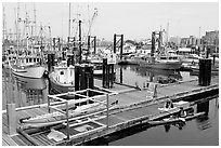 Kayaker ready to launch,  Upper Harbor. Victoria, British Columbia, Canada (black and white)