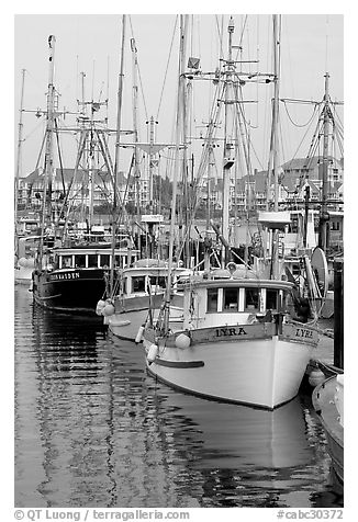 Commercial fishing fleet, Upper Harbour. Victoria, British Columbia, Canada