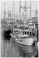 Commercial fishing fleet, Upper Harbour. Victoria, British Columbia, Canada (black and white)