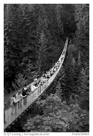 Capilano suspension bridge. Vancouver, British Columbia, Canada