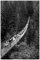 Capilano suspension bridge. Vancouver, British Columbia, Canada ( black and white)