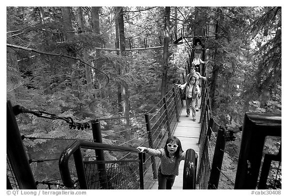 Kid on treetop trail. Vancouver, British Columbia, Canada