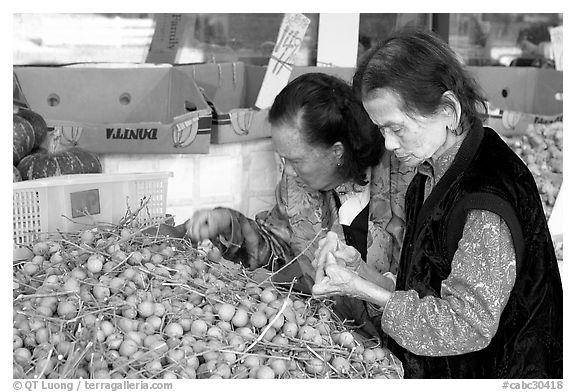 Two elderly women choosing tropical fruit. Vancouver, British Columbia, Canada (black and white)