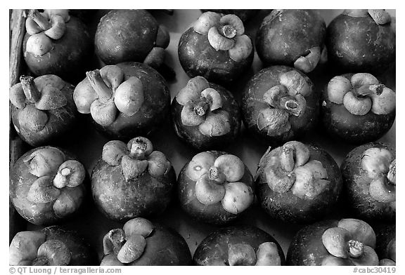 Mangoustines, Chinatown. Vancouver, British Columbia, Canada (black and white)