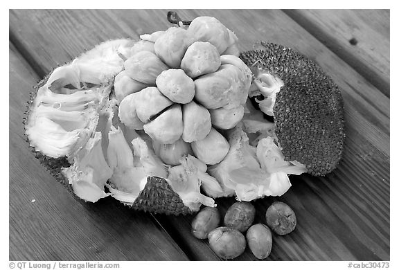 Jack Fruit. Vancouver, British Columbia, Canada (black and white)