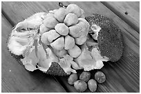 Jack Fruit. Vancouver, British Columbia, Canada ( black and white)