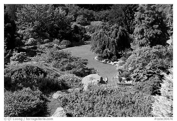 Sunken Garden in Queen Elizabeth Park. Vancouver, British Columbia, Canada (black and white)
