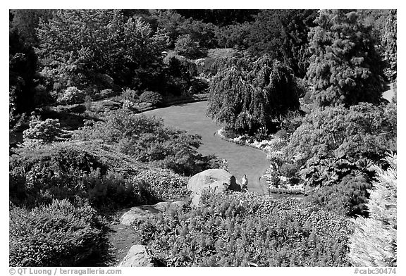 Sunken Garden in Queen Elizabeth Park. Vancouver, British Columbia, Canada