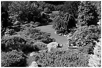 Sunken Garden in Queen Elizabeth Park. Vancouver, British Columbia, Canada (black and white)