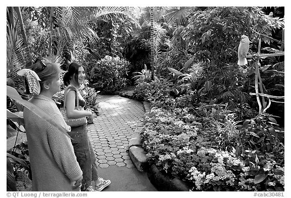 Women listening to the white parrot, Bloedel conservatory, Queen Elizabeth Park. Vancouver, British Columbia, Canada