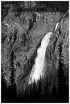 Takakkaw Falls from Yoho Valley Road, late afternoon. Yoho National Park, Canadian Rockies, British Columbia, Canada (black and white)