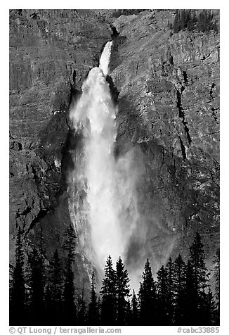 Takakaw Falls, trees and rainbow arc. Yoho National Park, Canadian Rockies, British Columbia, Canada