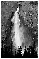 Takakaw Falls, trees and rainbow arc. Yoho National Park, Canadian Rockies, British Columbia, Canada ( black and white)