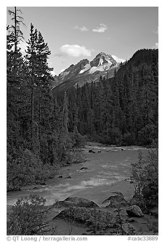 Yoho River, trees, and Cathedral Crags, late afternoon. Yoho National Park, Canadian Rockies, British Columbia, Canada (black and white)
