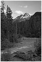 Yoho River, trees, and Cathedral Crags, late afternoon. Yoho National Park, Canadian Rockies, British Columbia, Canada (black and white)