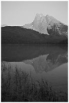 Reeds and Mount Burgess reflected in Emerald Lake, dusk. Yoho National Park, Canadian Rockies, British Columbia, Canada (black and white)