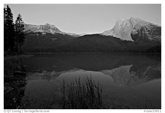 Mount Burgess and Wapta Mountain reflected in Emerald Lake, dusk. Yoho National Park, Canadian Rockies, British Columbia, Canada