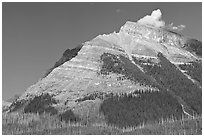 Peak near Vermillion Pass. Kootenay National Park, Canadian Rockies, British Columbia, Canada ( black and white)