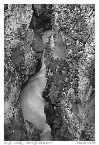 Limestone walls carved by Tokkum Creek, Marble Canyon. Kootenay National Park, Canadian Rockies, British Columbia, Canada