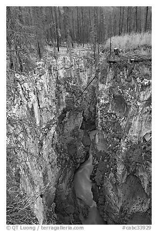 Marble Canyon and burned forest. Kootenay National Park, Canadian Rockies, British Columbia, Canada