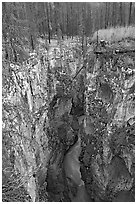 Marble Canyon and burned forest. Kootenay National Park, Canadian Rockies, British Columbia, Canada ( black and white)