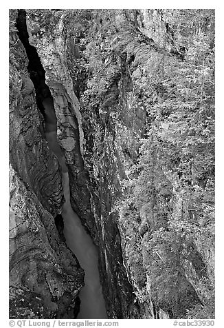 Marble Canyon 36 meter deep narrow gorge. Kootenay National Park, Canadian Rockies, British Columbia, Canada