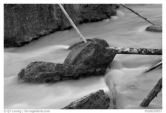 Boulders and fallen trees in silt-colored Tokkum Creek. Kootenay National Park, Canadian Rockies, British Columbia, Canada (black and white)