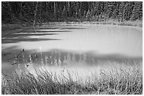 One of the ochre-colored Paint Pots, a warm mineral spring. Kootenay National Park, Canadian Rockies, British Columbia, Canada (black and white)