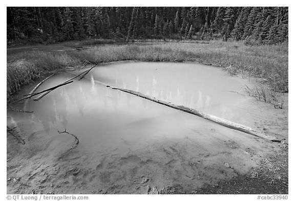 Paint Pot and fallen trunk. Kootenay National Park, Canadian Rockies, British Columbia, Canada (black and white)