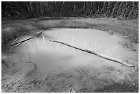 Paint Pot and fallen trunk. Kootenay National Park, Canadian Rockies, British Columbia, Canada (black and white)