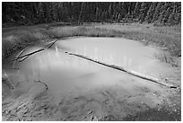 Paint Pot and fallen trunk. Kootenay National Park, Canadian Rockies, British Columbia, Canada (black and white)