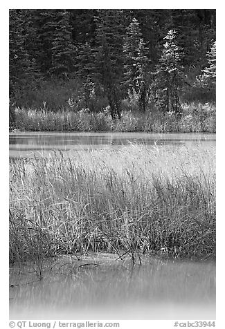 Two of the Paint Pots with mineral-colored water. Kootenay National Park, Canadian Rockies, British Columbia, Canada (black and white)