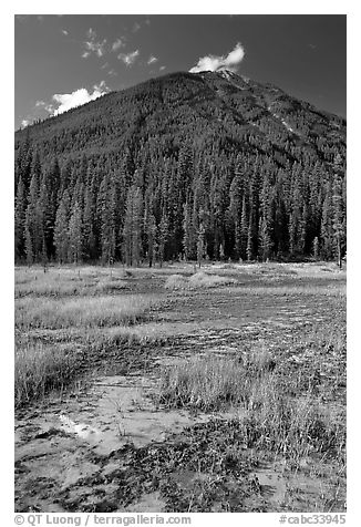 Red and yellow colored clay ochre bed at the base of forested hill. Kootenay National Park, Canadian Rockies, British Columbia, Canada (black and white)