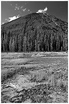 Red and yellow colored clay ochre bed at the base of forested hill. Kootenay National Park, Canadian Rockies, British Columbia, Canada (black and white)