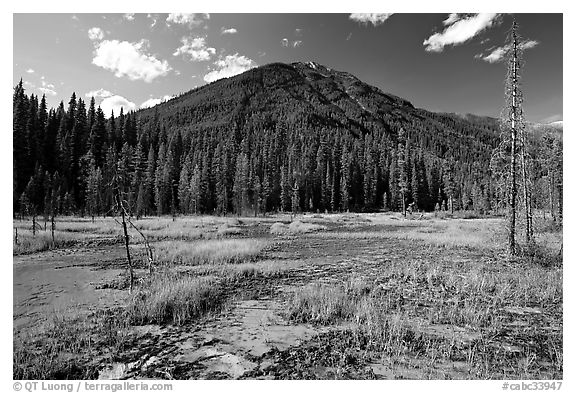 Yellow and red mud ochre bed, sacred to First Nations. Kootenay National Park, Canadian Rockies, British Columbia, Canada (black and white)