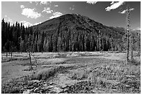 Yellow and red mud ochre bed, sacred to First Nations. Kootenay National Park, Canadian Rockies, British Columbia, Canada (black and white)