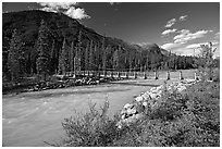 Suspension bridge spanning the Vermillion River. Kootenay National Park, Canadian Rockies, British Columbia, Canada ( black and white)